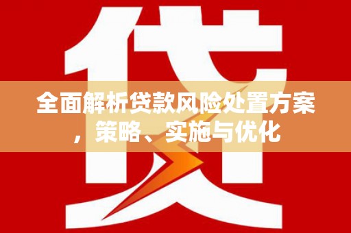 顺河全面解析贷款风险处置方案，策略、实施与优化