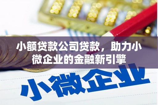 顺河小额贷款公司贷款，助力小微企业的金融新引擎