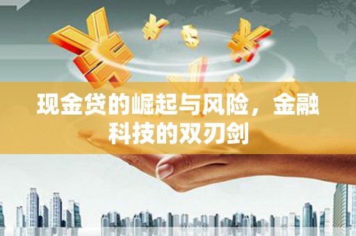 顺河现金贷的崛起与风险，金融科技的双刃剑