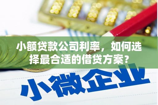 顺河小额贷款公司利率，如何选择最合适的借贷方案？