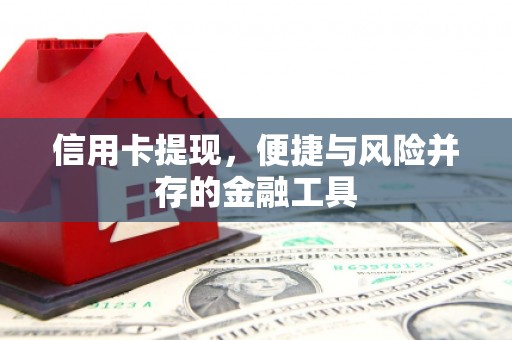顺河信用卡提现，便捷与风险并存的金融工具