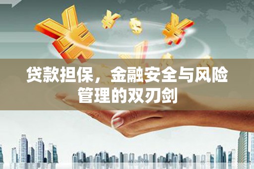 顺河贷款担保，金融安全与风险管理的双刃剑