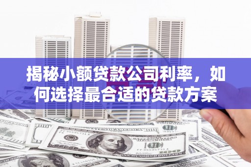 顺河揭秘小额贷款公司利率，如何选择最合适的贷款方案