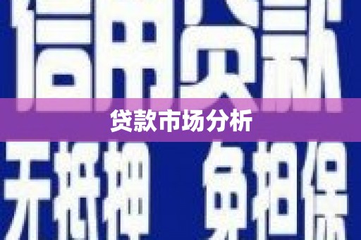 顺河贷款市场分析