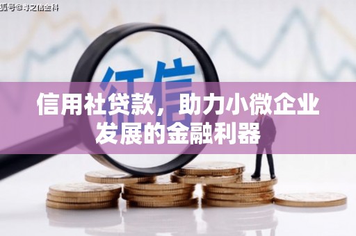 顺河信用社贷款，助力小微企业发展的金融利器