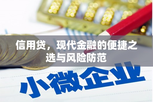 顺河信用贷，现代金融的便捷之选与风险防范