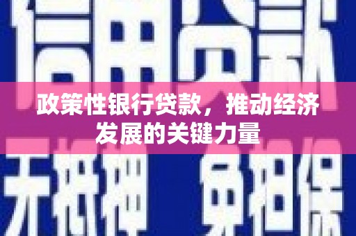 顺河政策性银行贷款，推动经济发展的关键力量