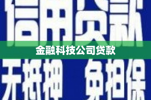 顺河金融科技公司贷款