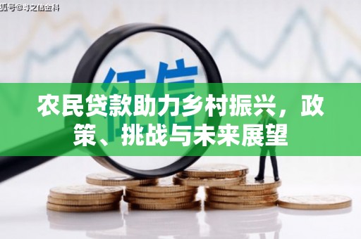 顺河农民贷款助力乡村振兴，政策、挑战与未来展望