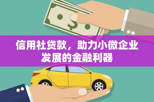 顺河信用社贷款，助力小微企业发展的金融利器