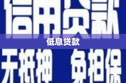 顺河低息贷款