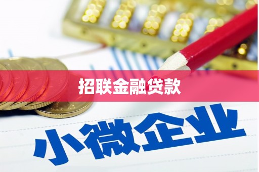 顺河招联金融贷款