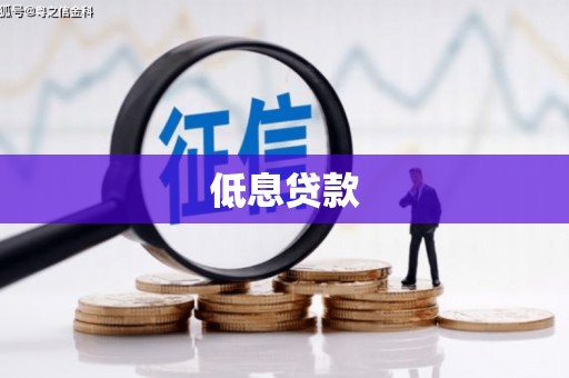 顺河低息贷款