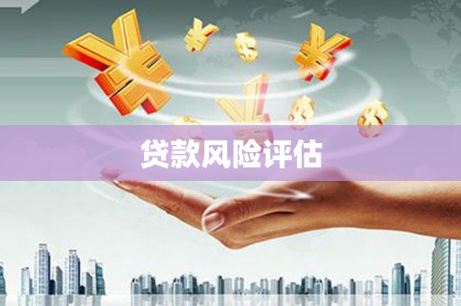 顺河贷款风险评估