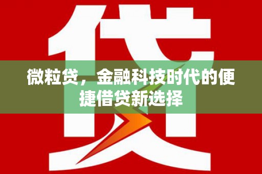 顺河微粒贷，金融科技时代的便捷借贷新选择