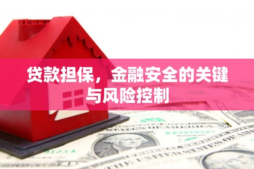 顺河贷款担保，金融安全的关键与风险控制