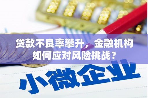 顺河贷款不良率攀升，金融机构如何应对风险挑战？