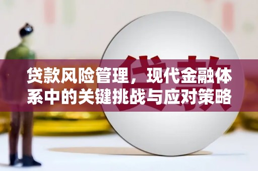 顺河贷款风险管理，现代金融体系中的关键挑战与应对策略