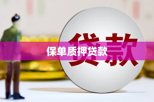 顺河保单质押贷款
