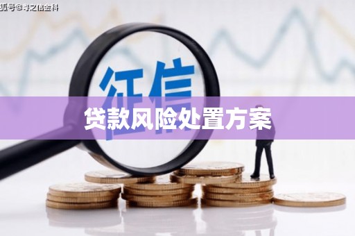 顺河贷款风险处置方案