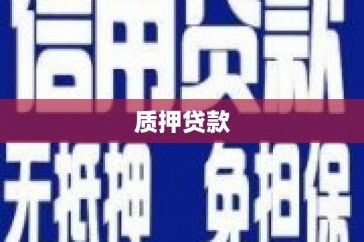 顺河质押贷款