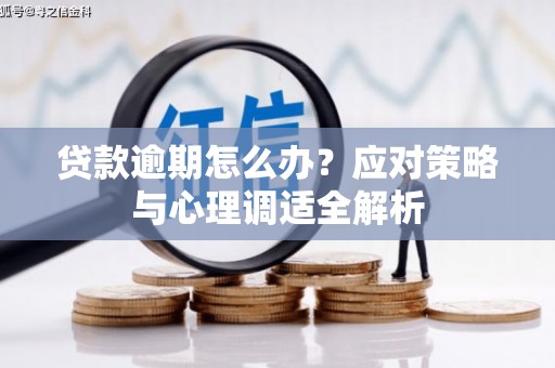 顺河贷款逾期怎么办？应对策略与心理调适全解析