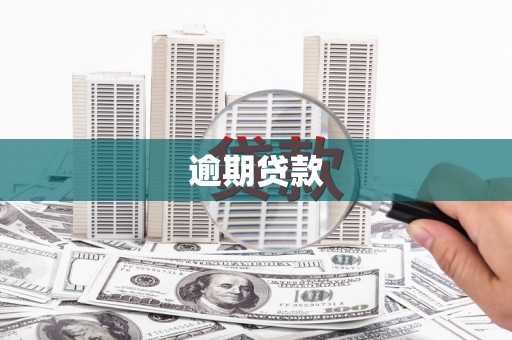 顺河逾期贷款