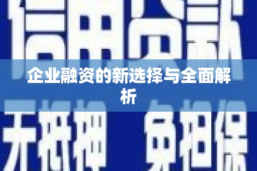 顺河企业融资的新选择与全面解析