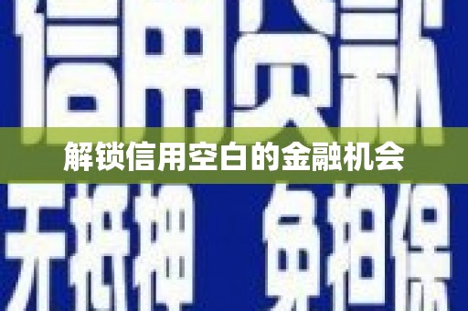 顺河解锁信用空白的金融机会
