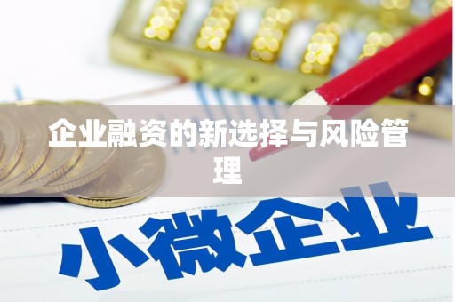 顺河企业融资的新选择与风险管理