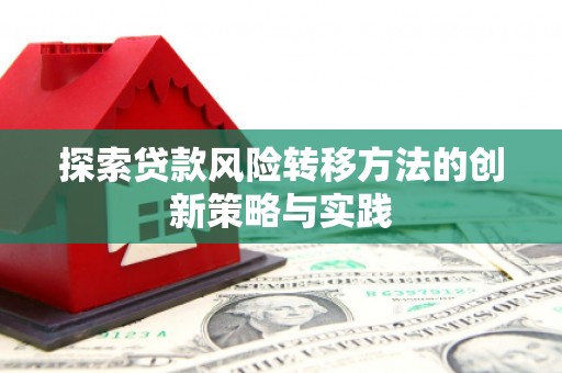 顺河探索贷款风险转移方法的创新策略与实践