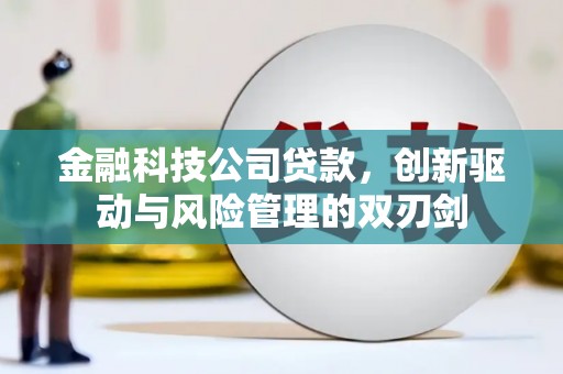 顺河金融科技公司贷款，创新驱动与风险管理的双刃剑